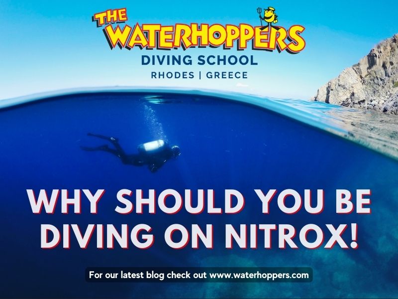 Why You Should Be Diving On Nitrox 